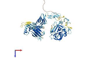 ST14 Protein (AA 1-855) (His tag)