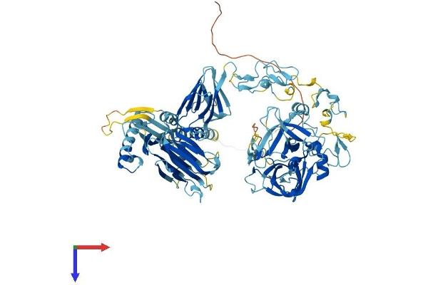 ST14 Protein (AA 1-855) (His tag)