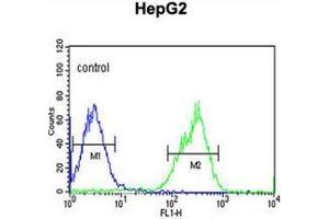 Flow cytometric analysis of HepG2 cells using MAP4K3 Antibody  (right histogram) compared to a negative control cell (left histogram). (MAP4K3 Antikörper)