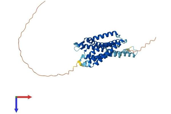 PRLHR Protein (AA 1-370) (His tag)