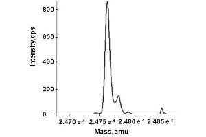 Reconstructed molecular weight from MS (HMGB1 Protein (Fully reduced))
