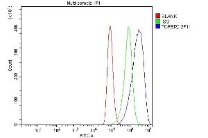 Flow Cytometry analysis of A549 cells using anti-TGFBR2 antibody (ABIN7603157).