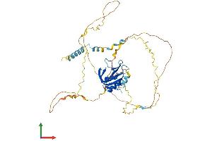 Protein Structure (PS) image for B-Cell Linker (BLNK) (AA 1-457) protein (His tag) (ABIN7565129)