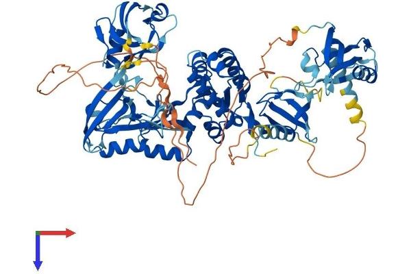 DLG4 Protein (AA 1-724) (His tag)