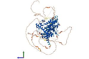 AlphaFold protein structure predicition of Mouse Recombinant Pde4a Protein, UniprotID O89084
