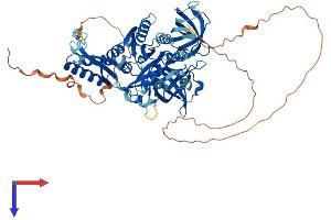 GTPBP1 Protein (AA 1-668) (His tag)