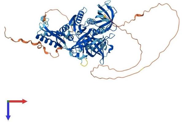GTPBP1 Protein (AA 1-668) (His tag)