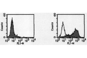 Flow Cytometry (FACS) image for anti-CD274 (PD-L1) antibody (ABIN1449173) (PD-L1 Antikörper)