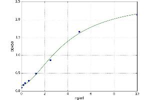 A typical standard curve