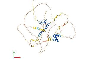 Protein Structure (PS) image for Doublesex and Mab-3 Related Transcription Factor 3 (DMRT3) (AA 1-472) protein (His tag) (ABIN7547105)