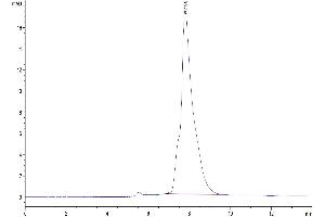 Size-exclusion chromatography-High Pressure Liquid Chromatography (SEC-HPLC) image for Calcitonin-Related Polypeptide alpha (CALCA) (AA 26-141) protein (Fc Tag) (ABIN7274019)