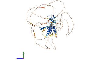 AlphaFold protein structure predicition of Human Recombinant ZCWPW1 Protein, UniprotID Q9H0M4