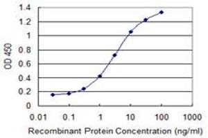 Detection limit for recombinant GST tagged CPA4 is 0. (CPA4 Antikörper  (AA 260-361))