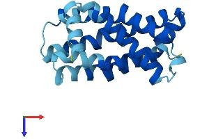 MPV17 Protein (AA 1-176) (His tag)
