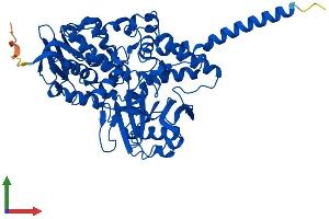 Protein Structure (PS) image for Monoamine Oxidase A (MAOA) (AA 1-526) protein (His tag) (ABIN7557812)