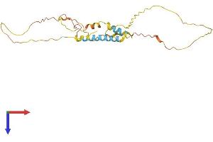 MDFIC Protein (AA 1-247) (His tag)