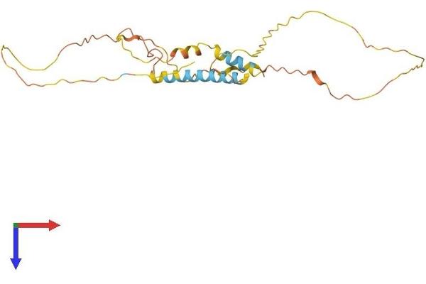 MDFIC Protein (AA 1-247) (His tag)