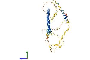 Protein Structure (PS) image for Activating Transcription Factor 5 (ATF5) (AA 1-283) protein (His tag) (ABIN7562515)