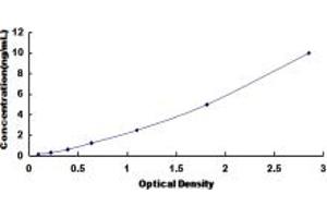 Typical standard curve (DPEP2 ELISA Kit)