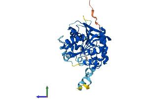 Protein Structure (PS) image for Abhydrolase Domain Containing 5 (ABHD5) (AA 1-351) protein (His tag) (ABIN7561287)