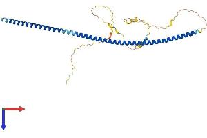 AlphaFold protein structure predicition of Mouse Recombinant Ccdc92 Protein, UniprotID Q8VDN4 (CCDC92 Protein (AA 1-314) (His tag))