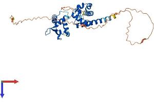 SPDEF/PSE Protein (AA 1-335) (His tag)