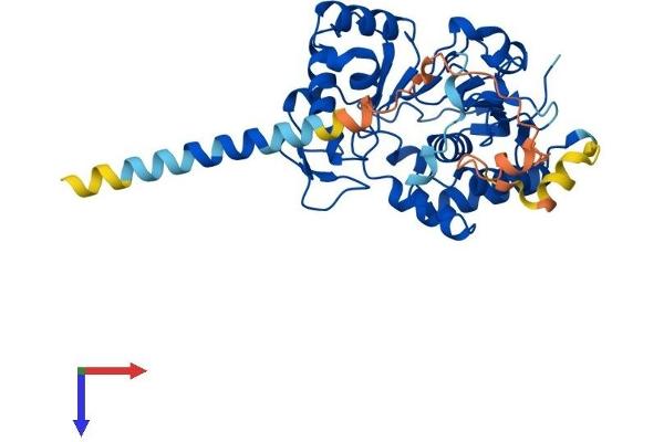 ST8SIA3 Protein (AA 1-380) (His tag)