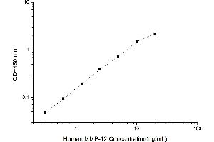 Typical standard curve (MMP12 ELISA Kit)