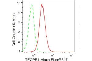 Flow cytometric analysis of TECPR1 expression in HT- cells using TECPR1 antibody (ABIN7800527), 1:2,000).