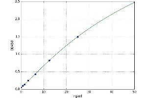 Transgelin 3 (TAGLN3) ELISA Kit