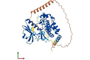 Protein Structure (PS) image for Myosin Light Chain Kinase Family, Member 4 (MYLK4) (AA 1-386) protein (His tag) (ABIN7557538)