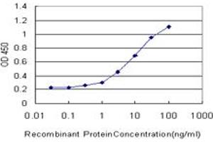 Detection limit for recombinant GST tagged FOXO3A is approximately 0. (FOXO3 Antikörper  (AA 361-460))