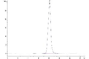 Size-exclusion chromatography-High Pressure Liquid Chromatography (SEC-HPLC) image for AXL Receptor tyrosine Kinase (AXL) (AA 20-445) protein (His tag) (ABIN7273886)