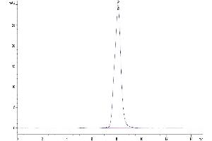 The purity of Mouse AXL is greater than 95 % as determined by SEC-HPLC. (AXL Protein (AA 20-445) (His tag))