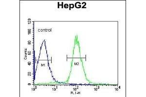 DI Antibody (Center) (ABIN653065 and ABIN2842666) flow cytometric analysis of HepG2 cells (right histogram) comred to a negative control cell (left histogram).