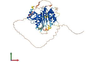 Protein Structure (PS) image for Lengsin, Lens Protein with Glutamine Synthetase Domain (LGSN) (AA 1-563) protein (His tag) (ABIN7559383)