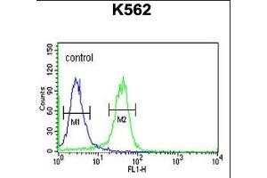 JMJD2B Antibody (N-term) (ABIN653341 and ABIN2842825) flow cytometric analysis of K562 cells (right histogram) compared to a negative control cell (left histogram). (KDM4B Antikörper  (N-Term))