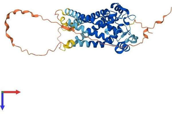 MTCH1 Protein (AA 1-389) (His tag)