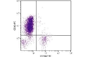 Human peripheral blood lymphocytes were stained with Mouse Anti-Human CD43-PE. (CD43 Antikörper  (APC))