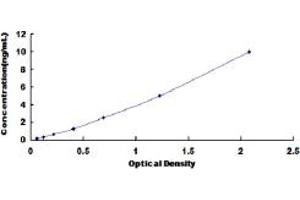 Typical standard curve (INPP4A ELISA Kit)