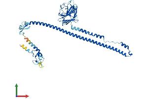 Protein Structure (PS) image for Tripartite Motif Containing 10 (TRIM10) (AA 1-481) protein (His tag) (ABIN7544677)