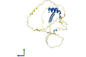 Protein Structure (PS) image for Caudal Type Homeobox 1 (CDX1) (AA 1-268) protein (His tag) (ABIN7562925)