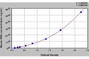 Neuromedin U ELISA Kit