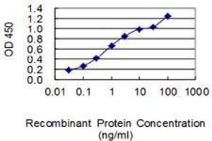 Detection limit for recombinant GST tagged GATC is 0. (GATC Antikörper  (AA 1-136))