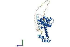 AlphaFold protein structure predicition of Human Recombinant SIX6 Protein, UniprotID O95475