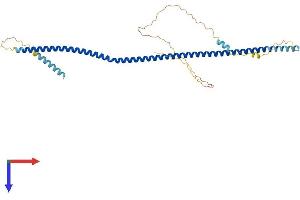 DTNBP1 Protein (AA 1-352) (His tag)