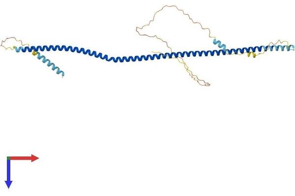 DTNBP1 Protein (AA 1-352) (His tag)