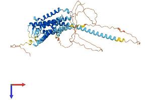 GPR101 Protein (AA 1-511) (His tag)