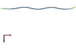 Tropomyosin Protein (AA 1-284) (His tag)