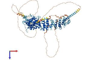 SCYL2 Protein (AA 1-930) (His tag)